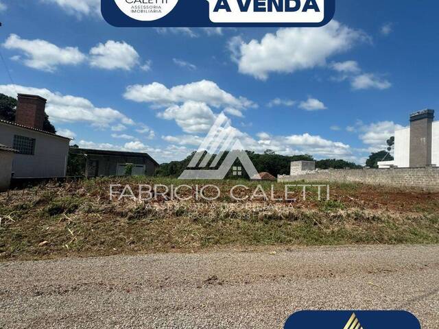 #8 - Área para Venda em Casca - RS - 3